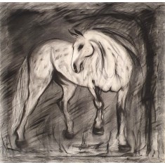 Uzair Ali Abro, 36 x 36 Inch, Charcoal on Canvas, Horse Painting, AC-UZAAB-006